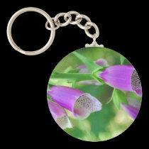 Foxgloves again keychains