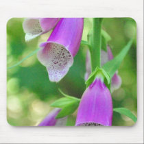 Foxgloves again mousepads