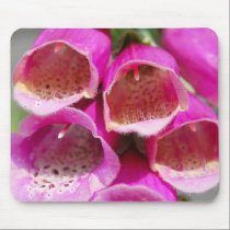 FOXGLOVES mousepads