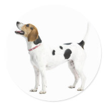 Foxhound Stickers