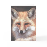 foxy cards