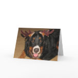 FPG Xmas Bernese - Xmas Card