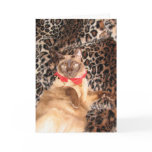 FPG Xmas Tonkinese - Card