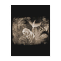 Fractal Background 3D Mermaid Brown Negative