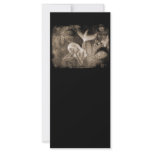 Fractal Background 3D Mermaid Brown Negative rack cards