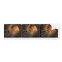 Fractal Butterfly bumper stickers