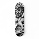 Fractal Skateboard