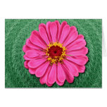 FRACTALED FLOWER CARDS