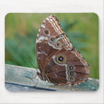 Fragile Beauty Mouse Pad