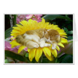 Fragile Spring Greeting Card