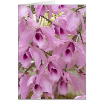 Fragrant Fairies Cards