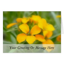 Fragrant Orange Cheiranthus Card