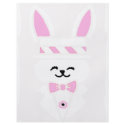 FRAMED BUNNY WHITE flyers