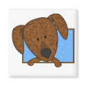 Framed Cartoon Plott Hound Magnet