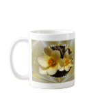 Framed Crocus flower ~ mug
