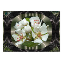 Framed Pear flowers ~ ATC card Business Cards