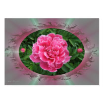 Framed Peony ~ ATC