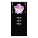 Framed Pink Campion ~ rack card rack cards