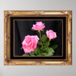 Framed Pink Roses Poster
