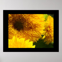 Framed Sunflower Garden art prints Colourful