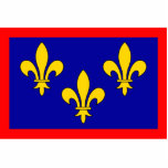 France Anjou, France flag photo sculptures
