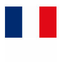 France Flag T-shirt