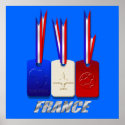 France flies to South Africa football travel gifts posters