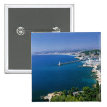 France, Nice, aerial view of the port Pin