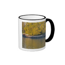 France, Rhone River, near Avignon, barge along Mugs