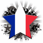 France Star photo sculptures