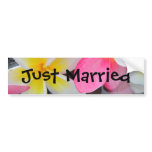 Frangipani Fever Bumper Sticker
