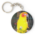frankie on limb keychains