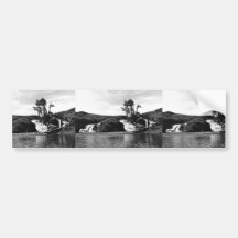 Fraser Falls, Dog Salmon Creek, Kodiak Bumper Stickers