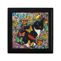 Freckles in Butterflies - Tux Kitty Cat Trinket Box