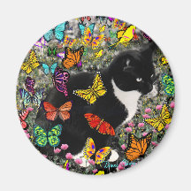 Freckles in Butterflies - Tuxedo Kitty Magnet