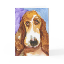 Fred Professional Basset Hound