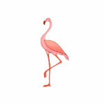 Frederick Flamingo Photo Sculptures