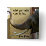 Free Billy-The Elephabt_ Button