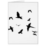 Free Birds design! cards