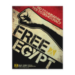 Free Egypt! flyers