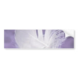 Free Falling feather on purple background bumper stickers