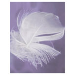 Free Falling feather on purple background flyers
