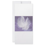 Free Falling feather on purple background rack cards