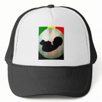 free gorras