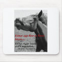 Free Kiss Funny Horse mousepads