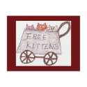 free kittens Postcard