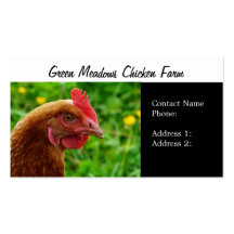 Free Range Eggs Hen  Business Cards