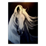 Free Spirit cards