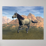 Free Spirit Posters