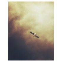 "Free Spirit" Soar above your impossibilities Flyers